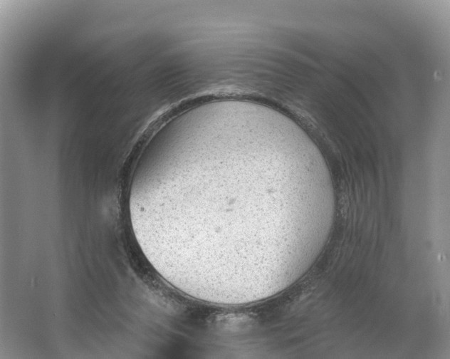 X0000064740208200602241810