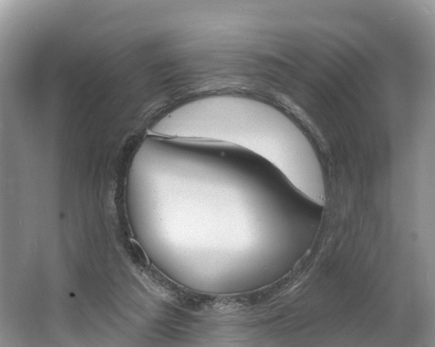 X0000064740209200602241810