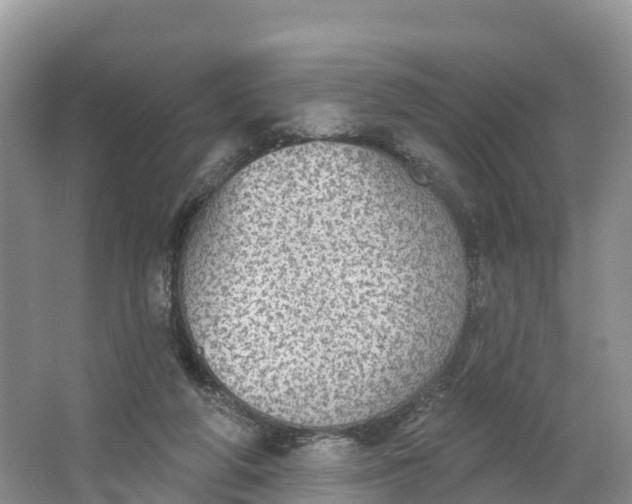 X0000064740210200602241810