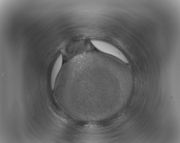 X0000064740211200602241810