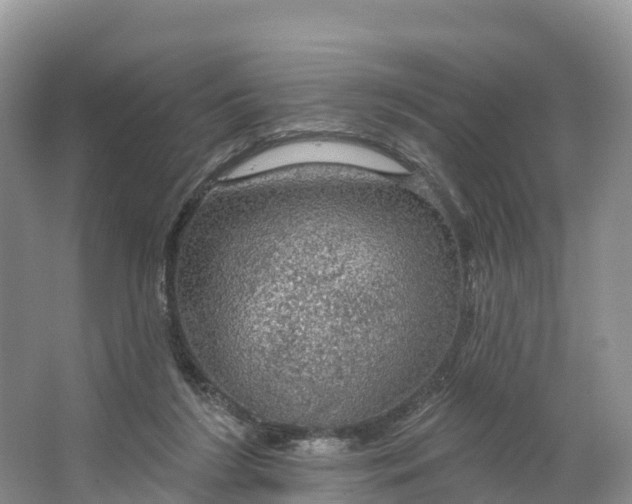 X0000064740212200602241810