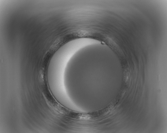 X0000064740214200602241810