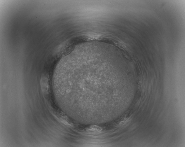 X0000064740215200602241810