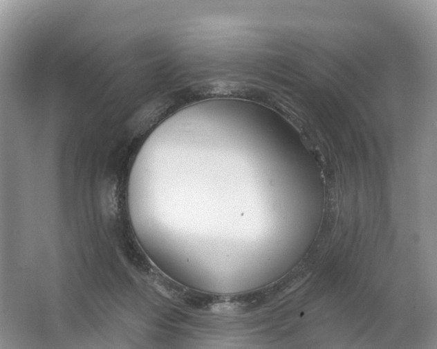 X0000064740216200602241810