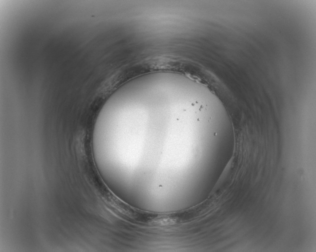 X0000064740217200602241810