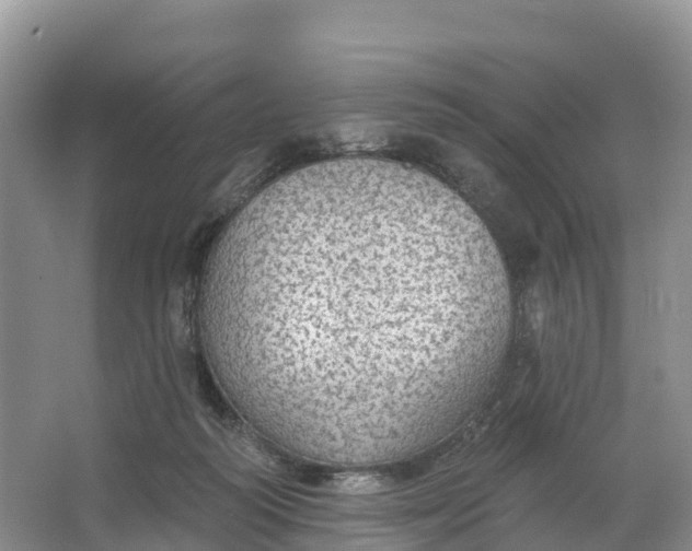 X0000064740218200602241810