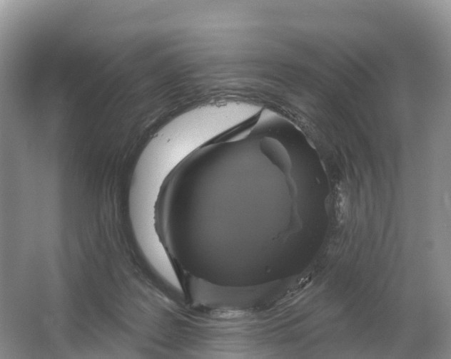 X0000064740219200602241810