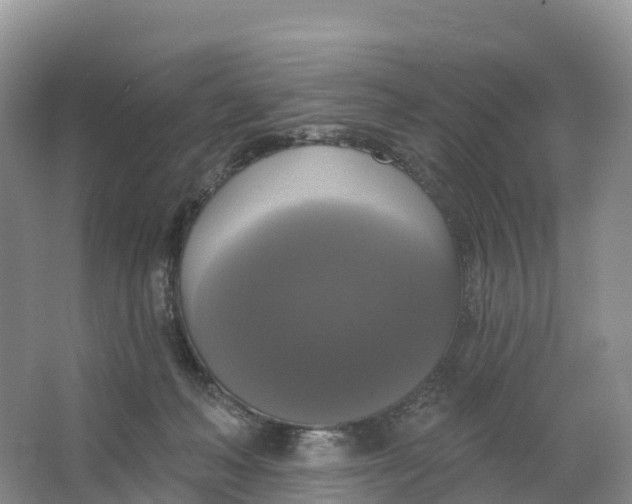 X0000064740222200602241810