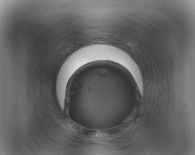 X0000064740223200602241809