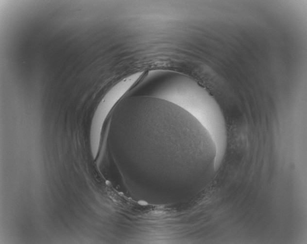 X0000064740224200602241809