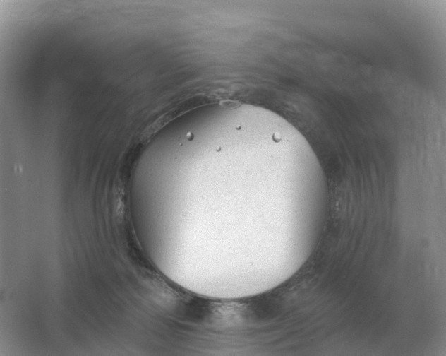 X0000064740226200602241809