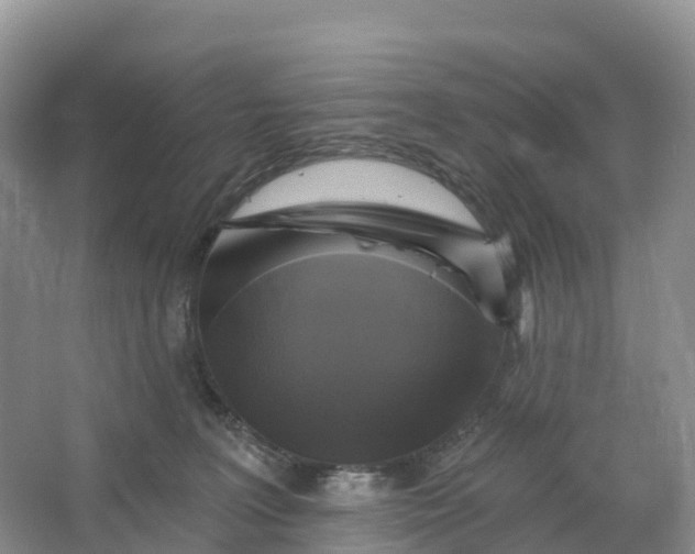 X0000064740227200602241809