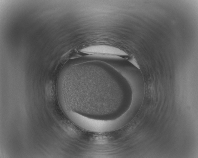 X0000064740228200602241809