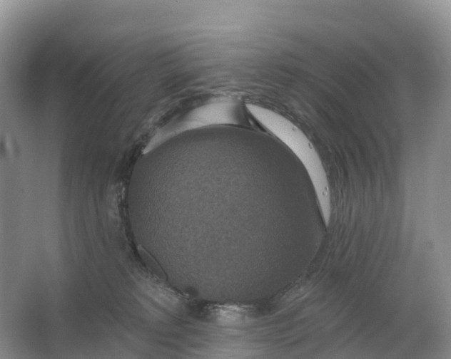 X0000064740229200602241809