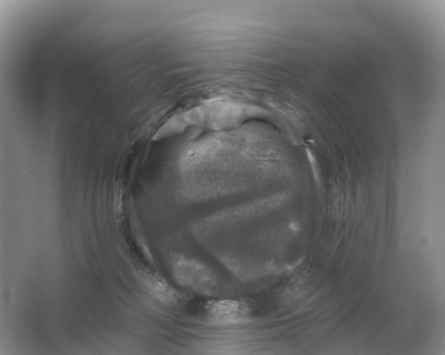 X0000064740230200602241809