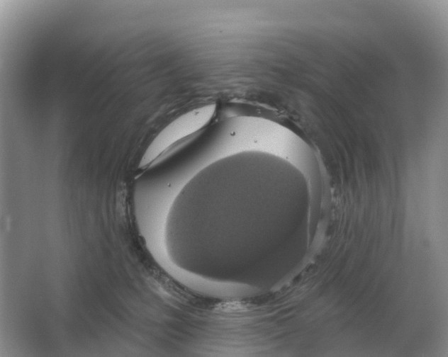 X0000064740231200602241809