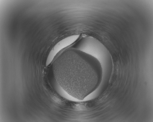 X0000064740232200602241809