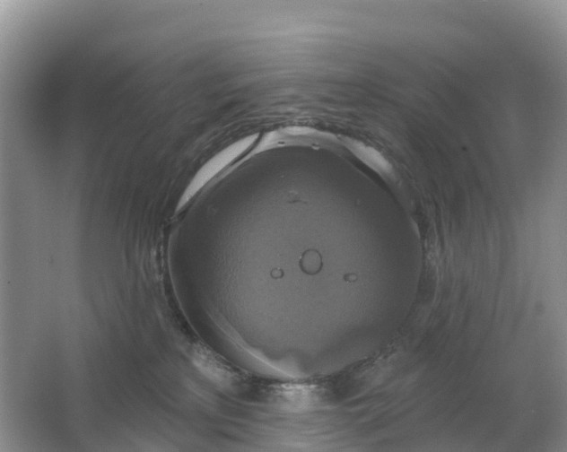 X0000064740233200602241809