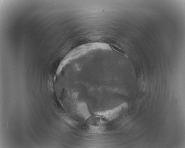 X0000064740234200602241809