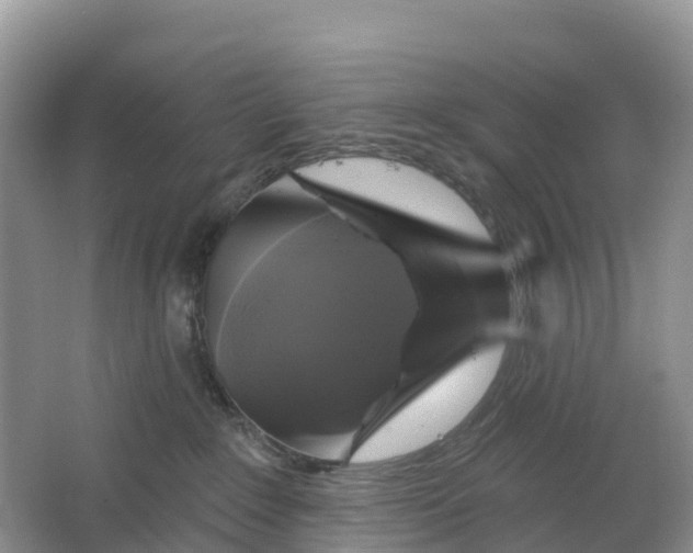 X0000064740235200602241809