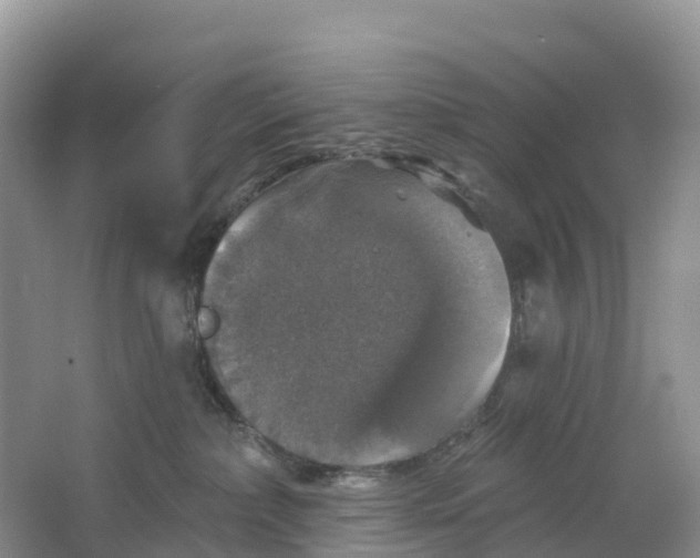 X0000064740236200602241809