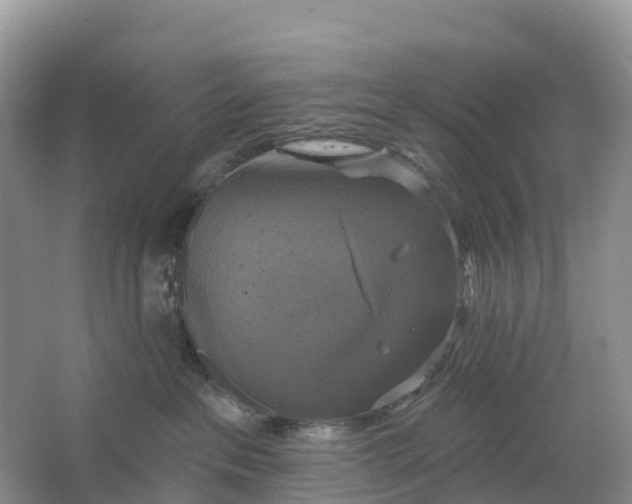 X0000064740237200602241809