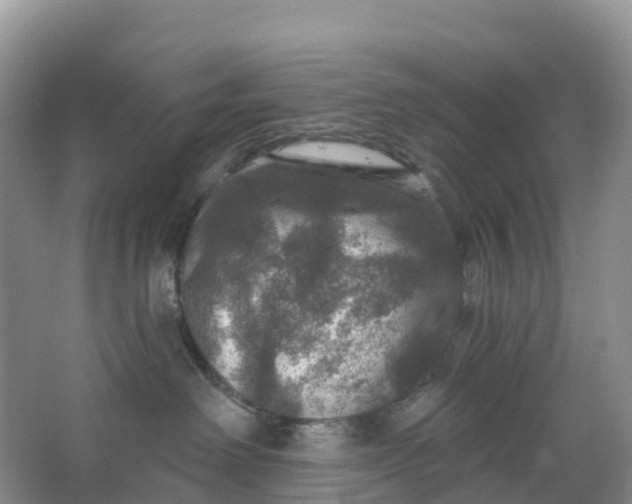 X0000064740238200602241809