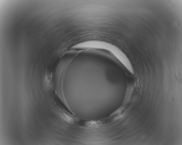 X0000064740239200602241809