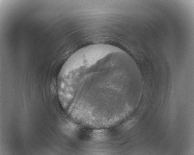 X0000064740240200602241809