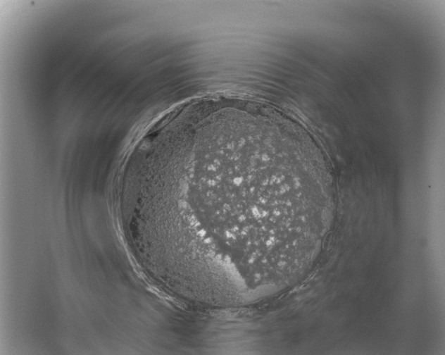 X0000064740241200602241808