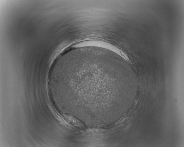 X0000064740242200602241808