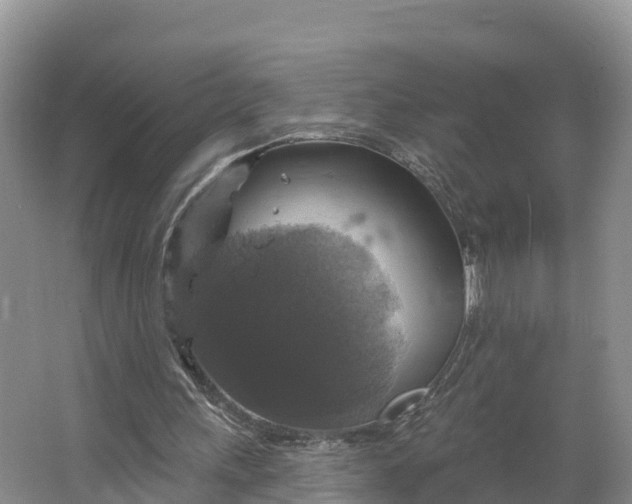 X0000064740243200602241808