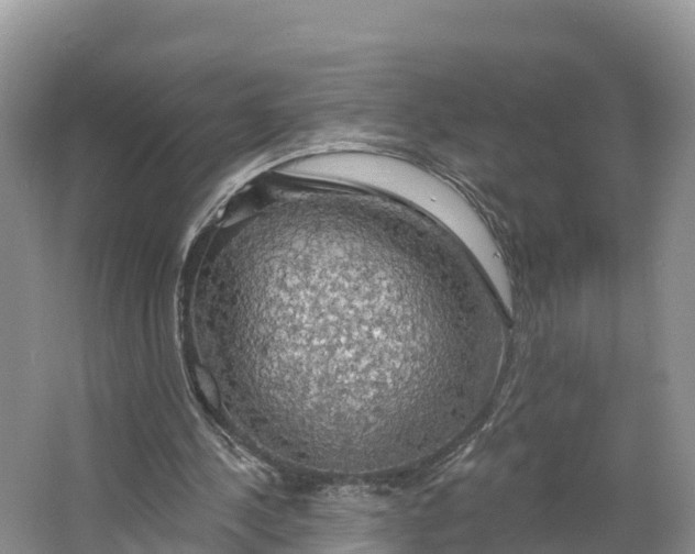 X0000064740244200602241808