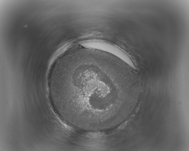 X0000064740245200602241808