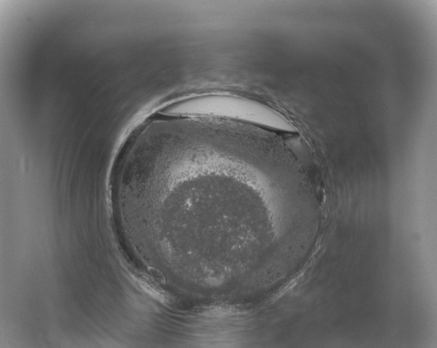 X0000064740246200602241808