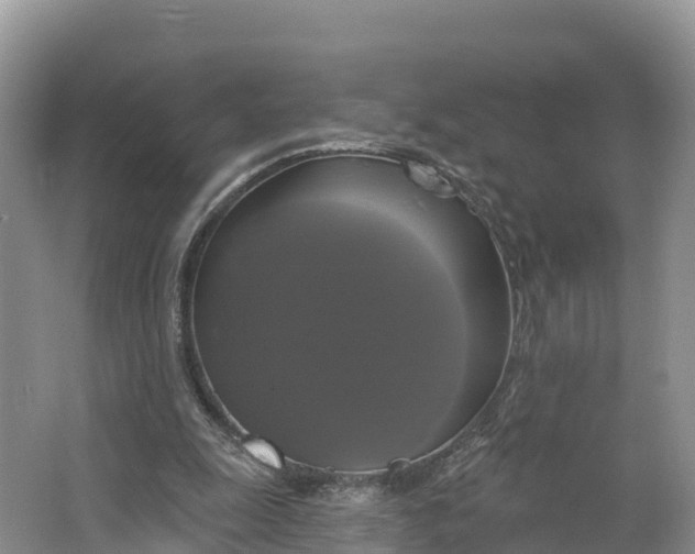 X0000064740247200602241808