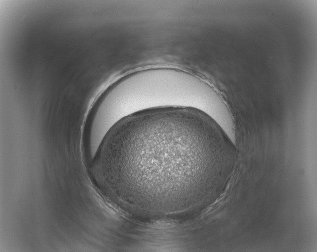 X0000064740248200602241808