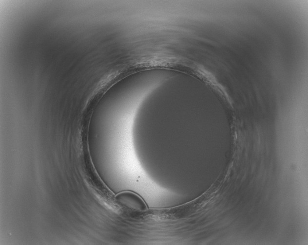 X0000064740250200602241808