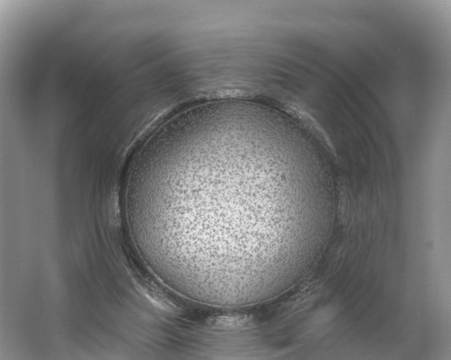 X0000064740251200602241808