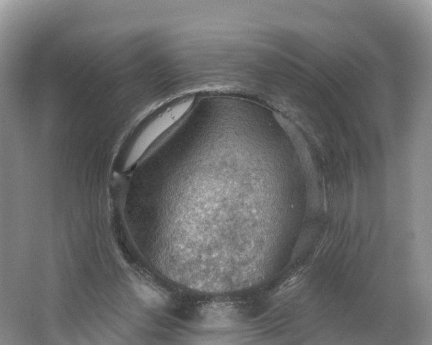 X0000064740252200602241808