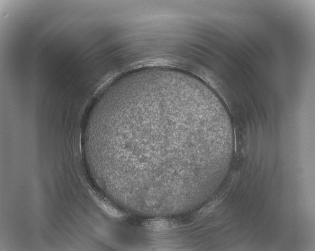 X0000064740253200602241808