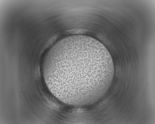 X0000064740254200602241808