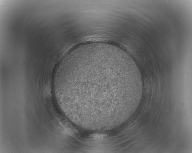 X0000064740255200602241808