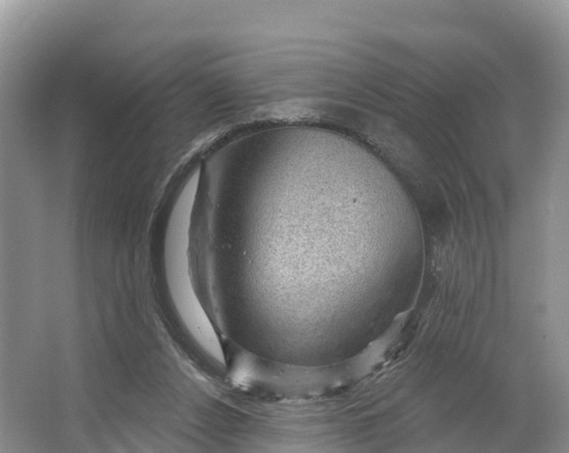 X0000064740256200602241808