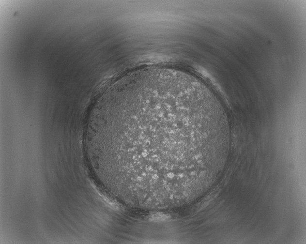 X0000064740257200602241808