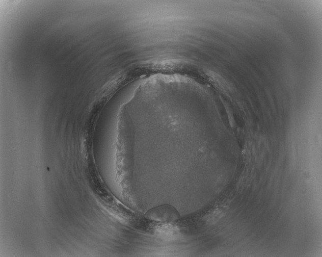 X0000064740258200602241808