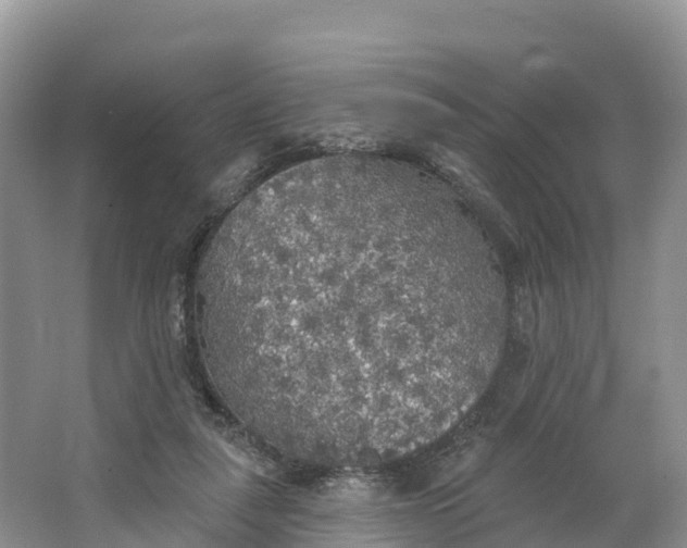 X0000064740259200602241808