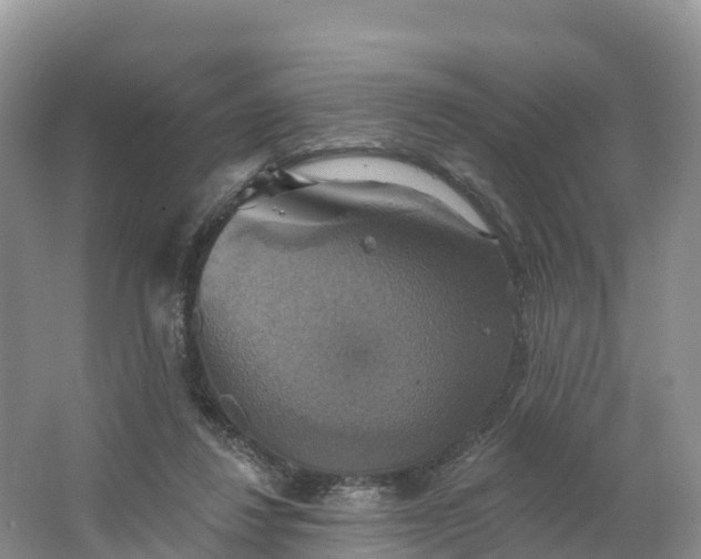 X0000064740260200602241808