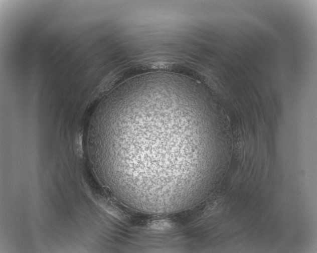 X0000064740262200602241808