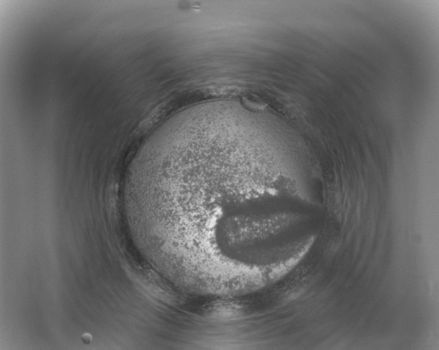 X0000064740263200602241808